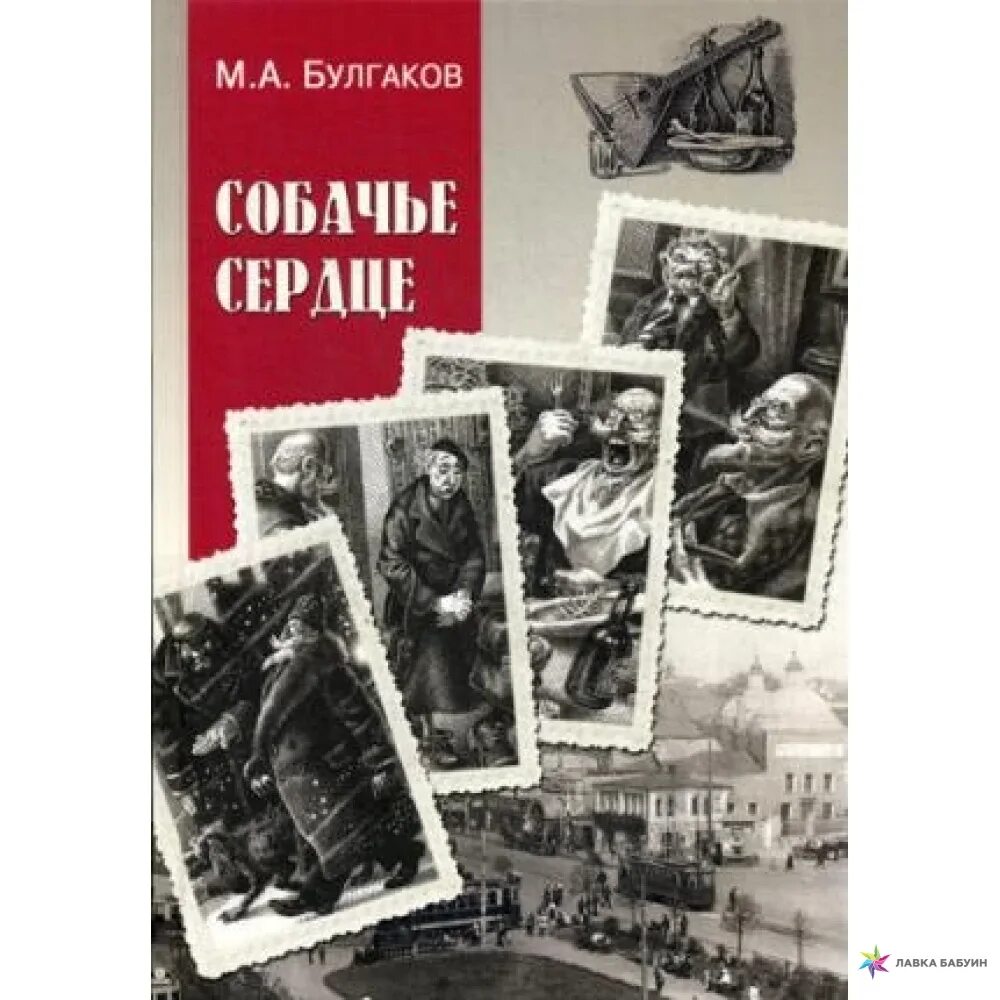 Собачье сердце это повесть. Собачье сердце обложка книги. собачье сердце издательство вече. издание книги михаила булгакова собачье сердце от вече.