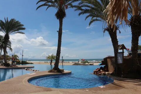 Sunsol punta blanca