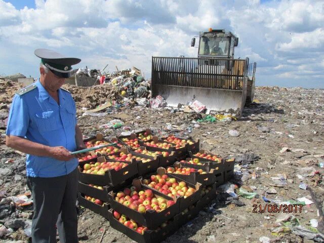 Уничтожение таможенного товара