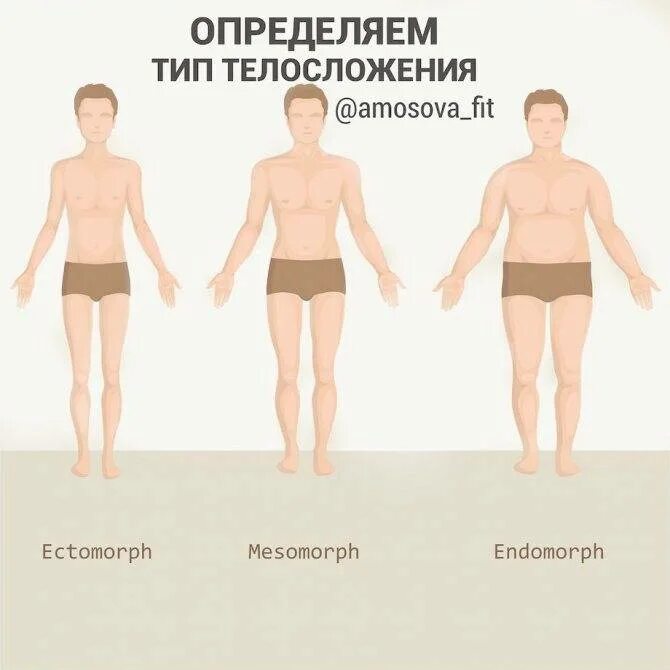 Типы мужских фигур. Плотное Телосложение. Человек плотного телосложения. Эктоморфное Телосложение.