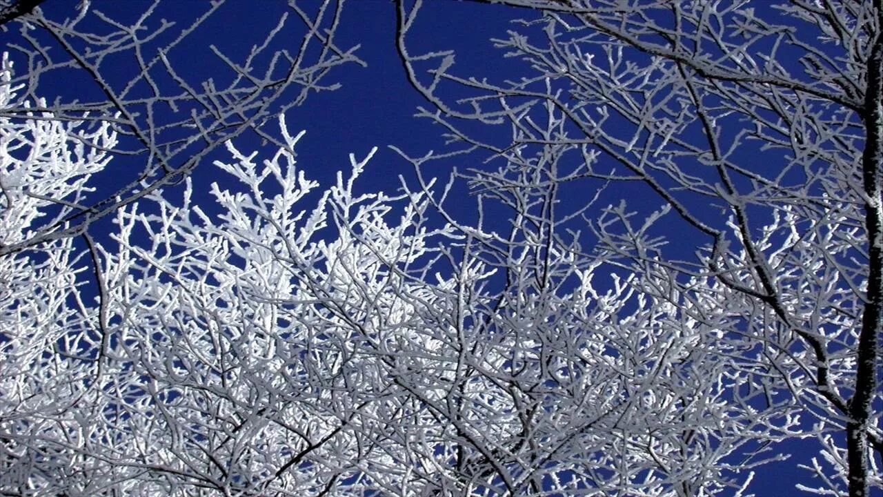 Вивальди январь. Вивальди зима. вивальди времена года зима. картины на музыку вивальди зима.