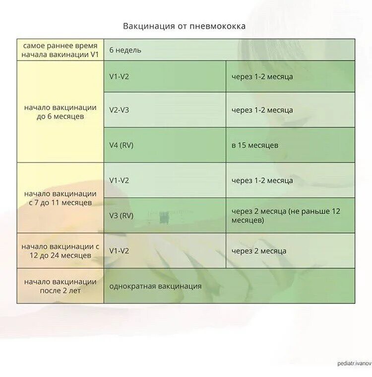 Схема вакцинации пневмококковой вакциной. График вакцинации от пневмококковой инфекции. Вакцинация от пневмококка календарь прививок. График прививок пневмококк. Пневмококк сколько прививок