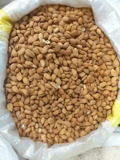 Сколько весит абрикос
