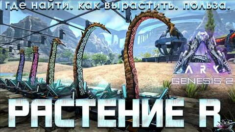 Арк растения