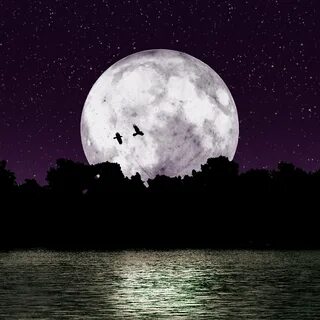 Какая бывает луна ночью