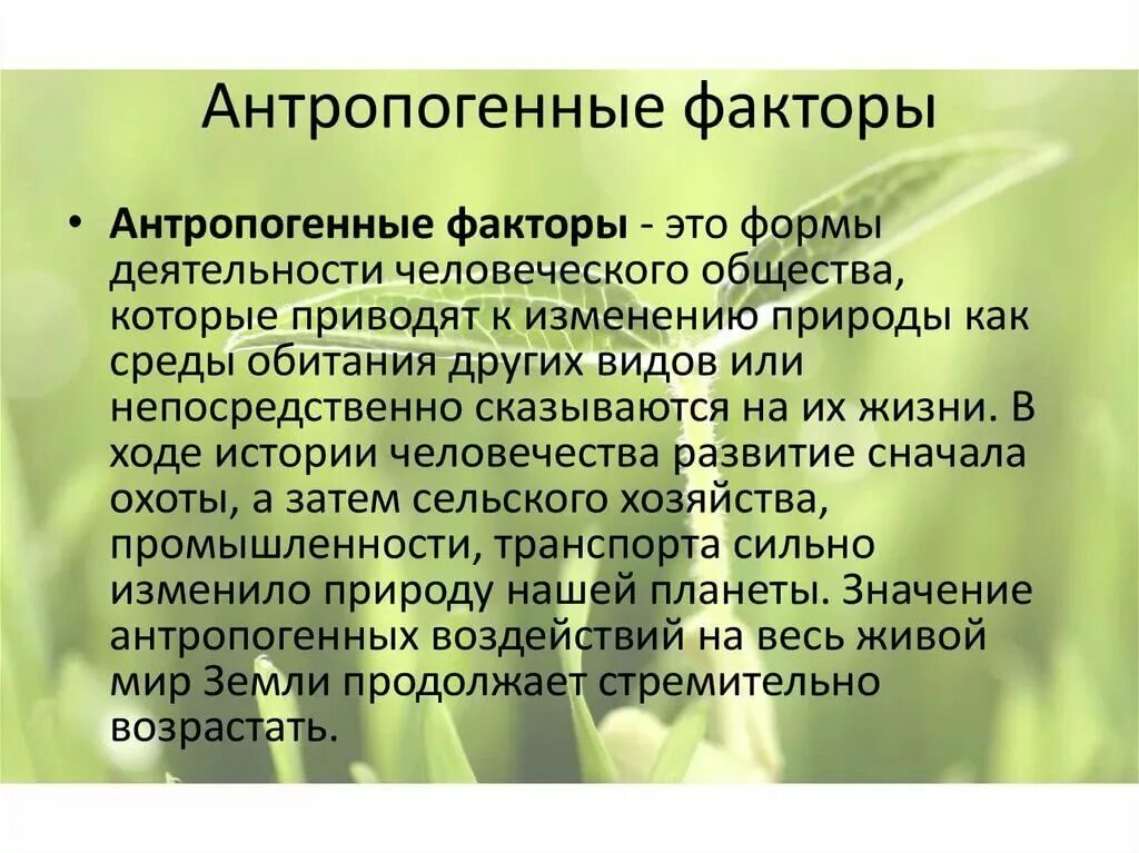 Антропогенные растения примеры. Антропогенные факторы. антропогенные экологические факторы. антропошенныефактооры. антропогенные факторы примеры.