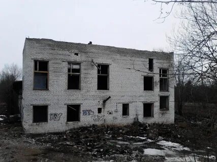 Кисельня волховский