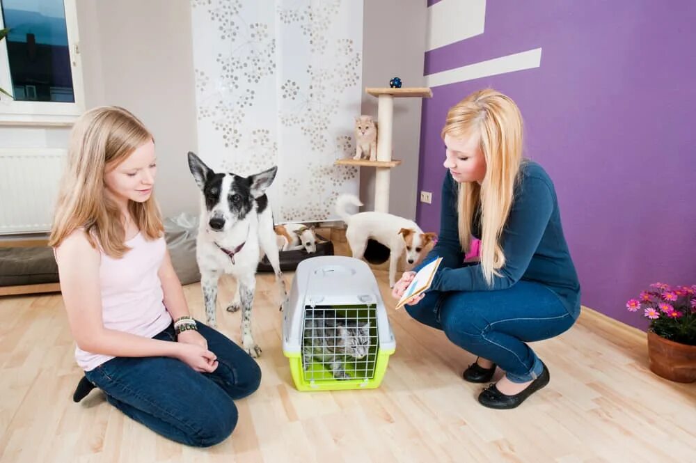 Pets with us