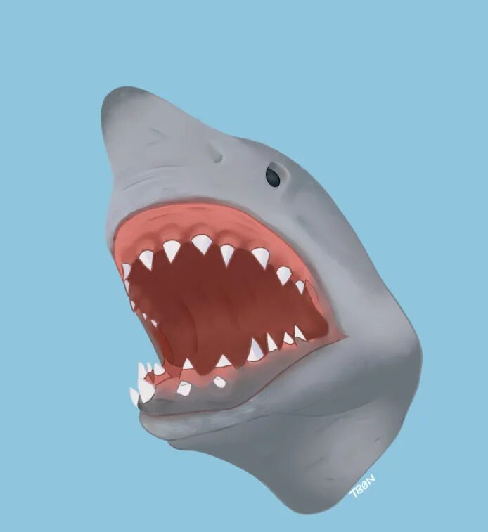 Shark puppet. Акула shark puppet. акула чувак из пластика. shark puppet age.