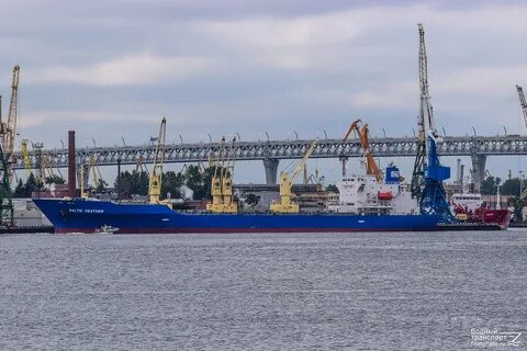 Газ балтийский