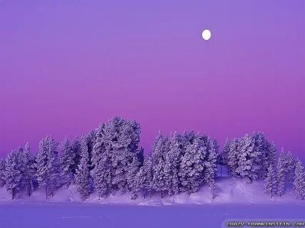 Winter days