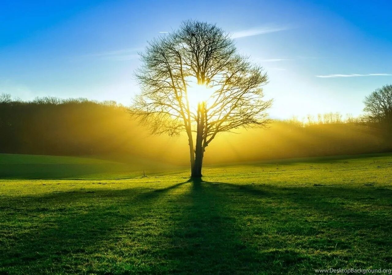 Sunshine always