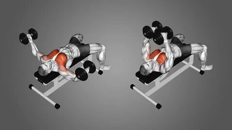 incline dumbell flys - www.eko-kya.net.