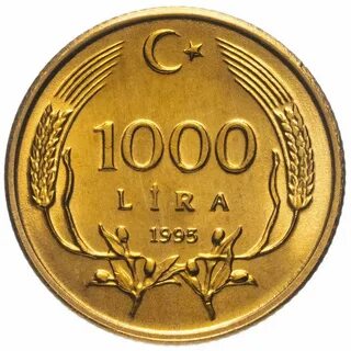 Турецкие тысяча