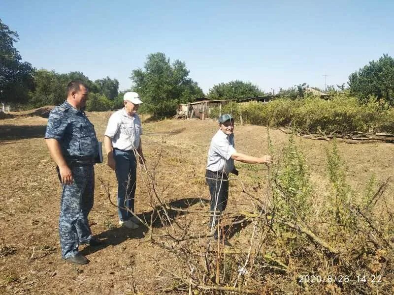 Большевик ипатовский