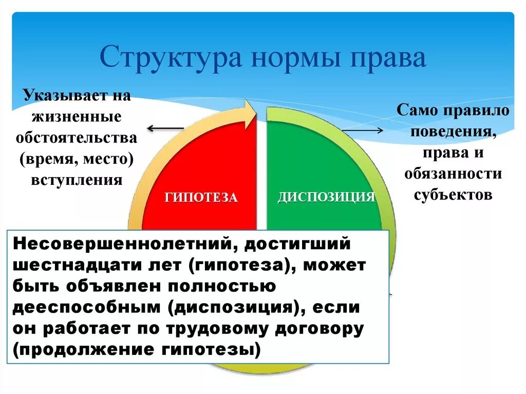 Структура правовой нормы примеры.