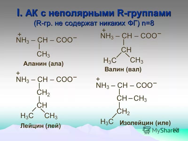 Реакции с α аминопропановой кислотой реакция. Два вещества с которыми реагирует аланин. Аланин этиловый спирт реакция. Реакция аланин и вален. Аланин взаимодействие.