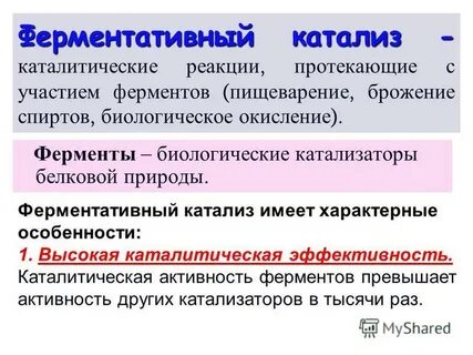 Биологический катализатор 7