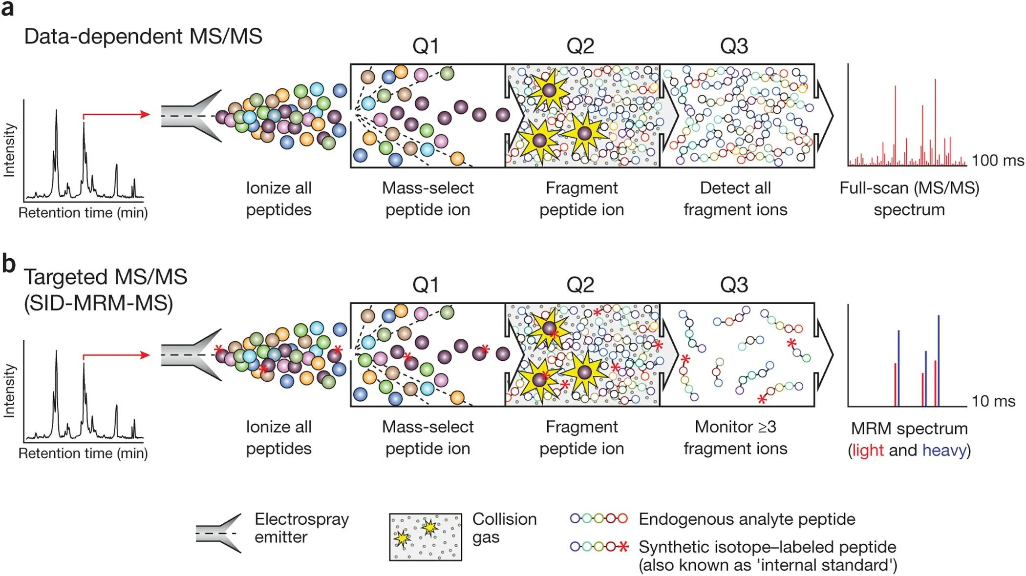 Data dependencies. MS/MS Mass Spectrometry. Mass Spectrometry Analysis. Mass Spectrometry Spectrum. Масс-спектрография схема.