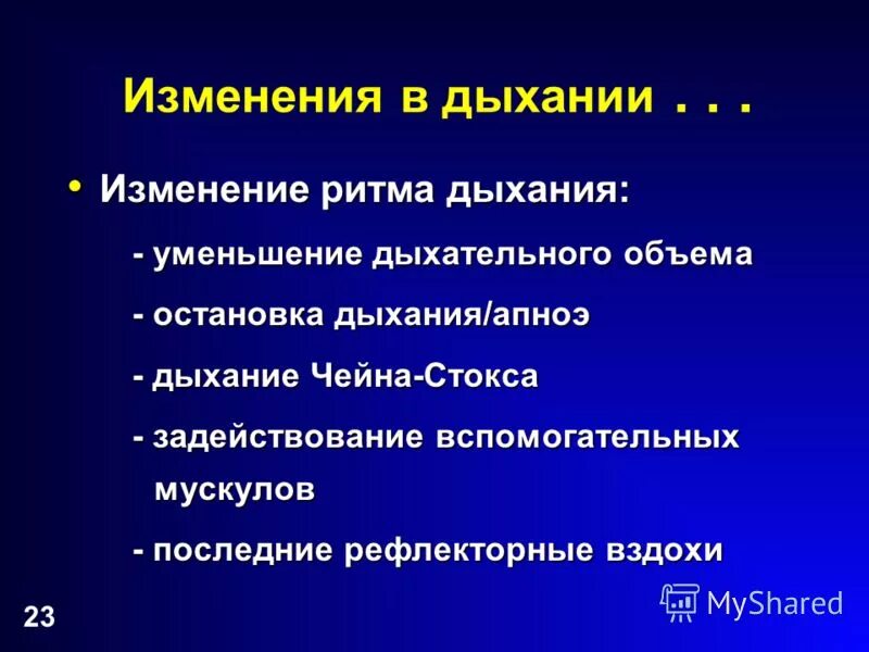 Рефлекторная остановка дыхания. Изменение ритма дыхания. Генерация дыхательного ритма. Генератор дыхательного ритма.