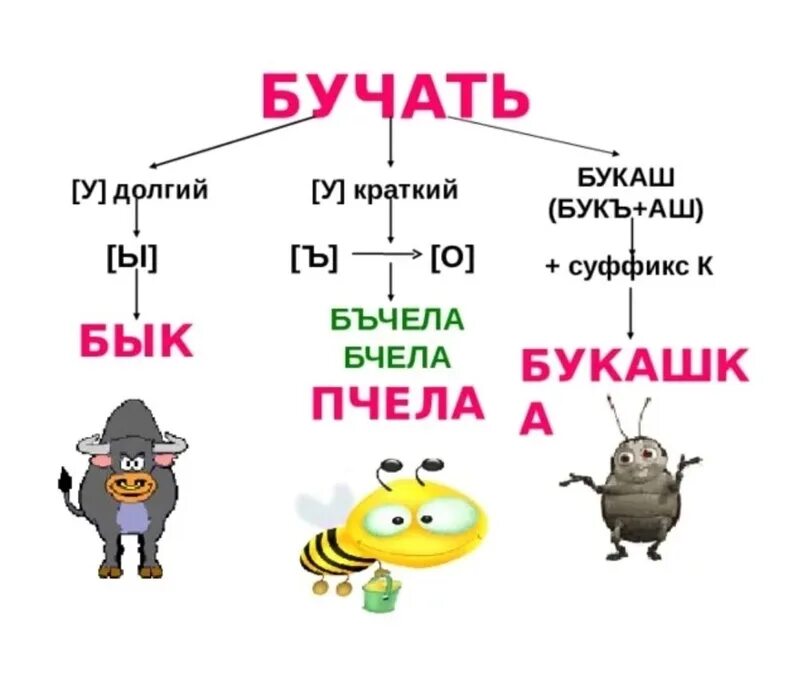 Пчела какой корень. Бык и пчела однокоренные слова. бык и пчела однокоренные. бык и пчела однокоренные слова почему. пчела и бык родственные слова.