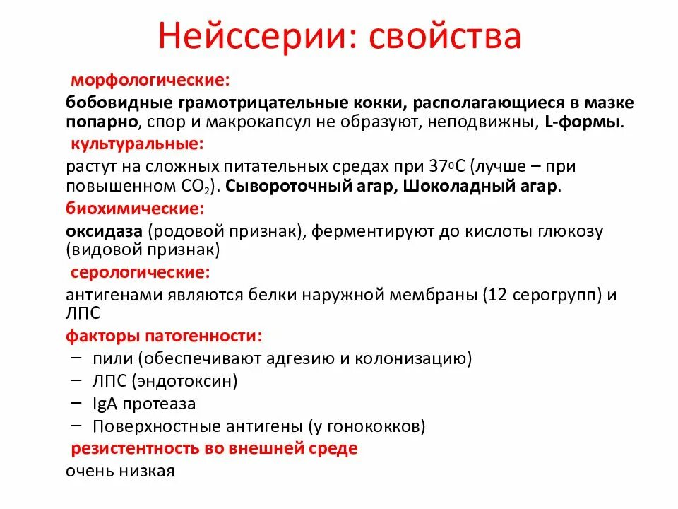 Neisseria spp что это. Neisseria spp что это. Гонококк строение микробиология. Нормы в мазке из зева. Бактериологическое исследование мазков при беременности норма.