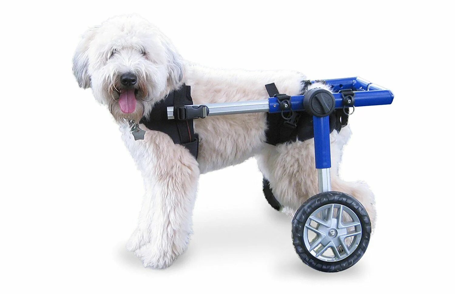 Animal mobile. Инвалидная коляска для собак Walkin Wheels. Инвалидные коляски Dog wheelchairs. Коляска для собак Walkin' Wheels. Коляска Triol для собак инвалидов.