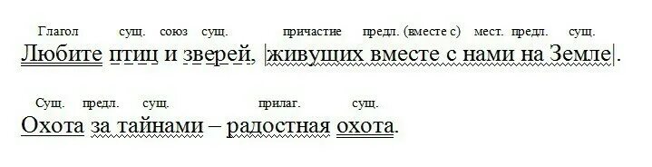 Синтаксический разбор птицы. Птица синтаксический разбор. Любите птиц и зверей живущих вместе с нами на земле. Синтаксический разбор предложения любите птиц и зверей живущих. Диктант любите птиц.