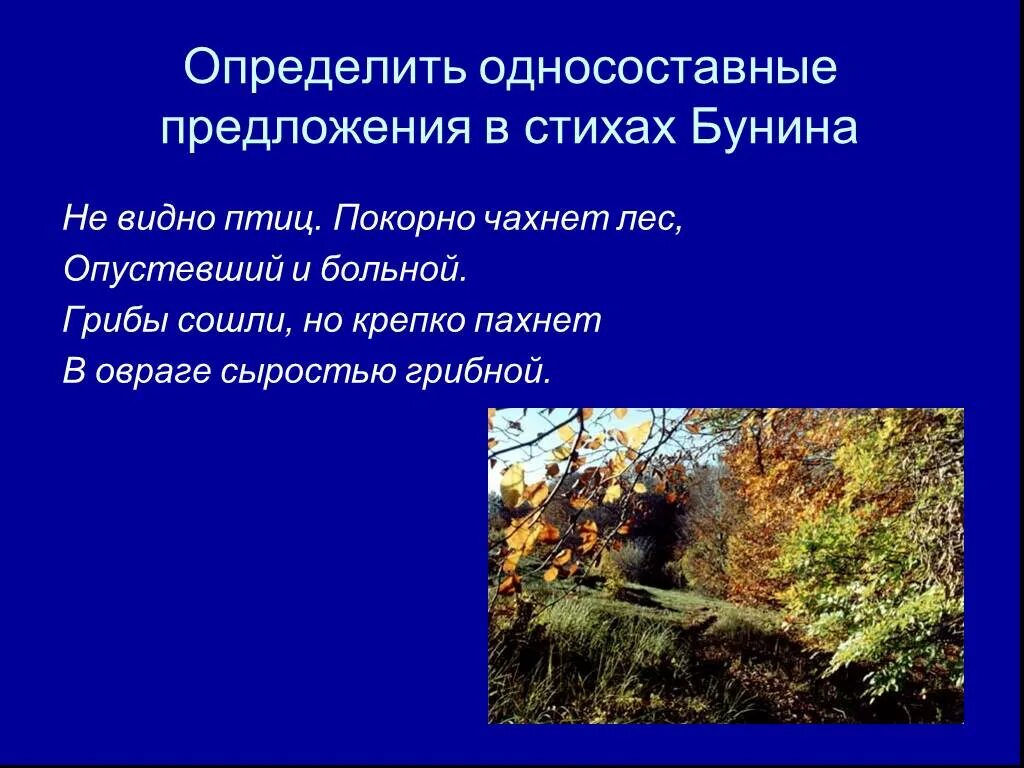 Бунин стих птица. Не видно птиц покорно чахнет лес Бунин. Бунин стих не видно птиц покорно чахнет. Стихотворение не видно птиц Бунин. Бунин стих не видно птиц.