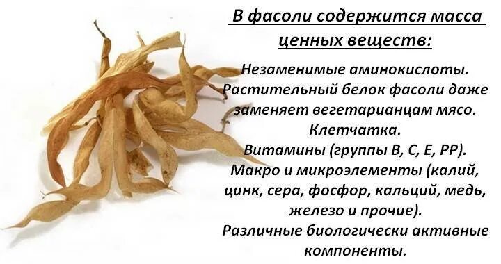 Створки фасоли как заваривать. Створки фасоли. польза фасоли для организма. фасоль полезные свойства. створки плодов фасоли обыкновенной.