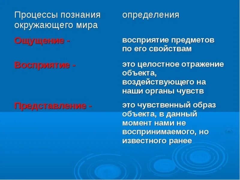 Слово со значением понимание окружающей действительности