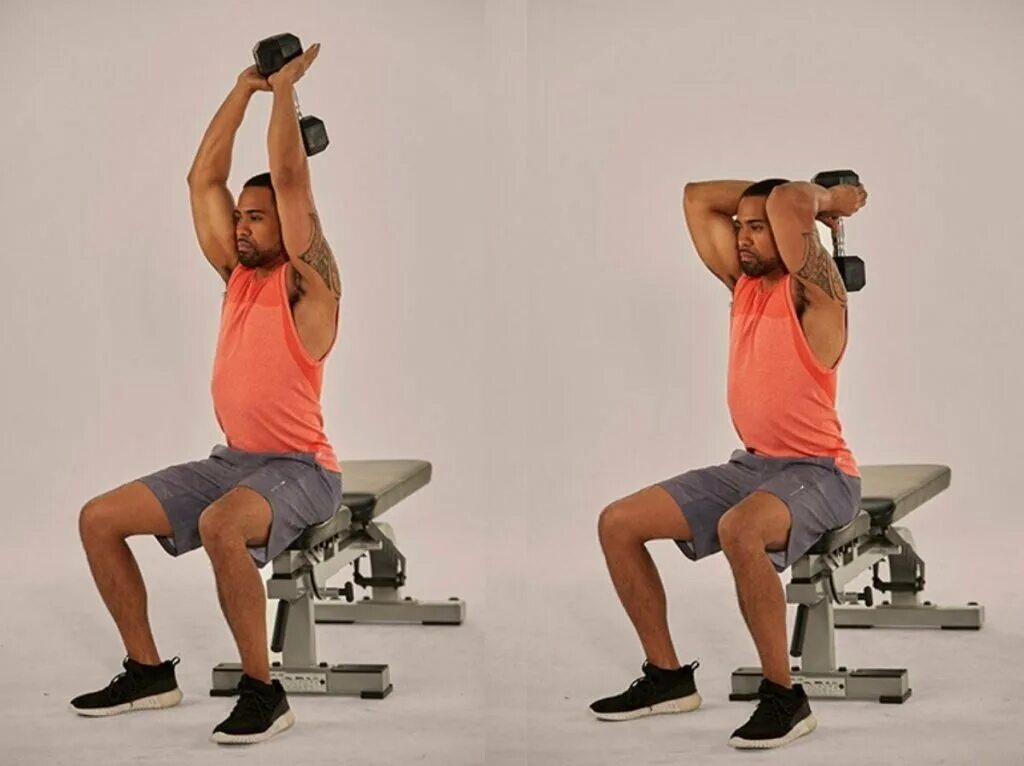 Seated Dumbbell Tricep overhead Extension. Французский жим гантелей на трицепс. Французский жим на трицепс. Seated Triceps Press упражнение. Жим гантелями или штангой