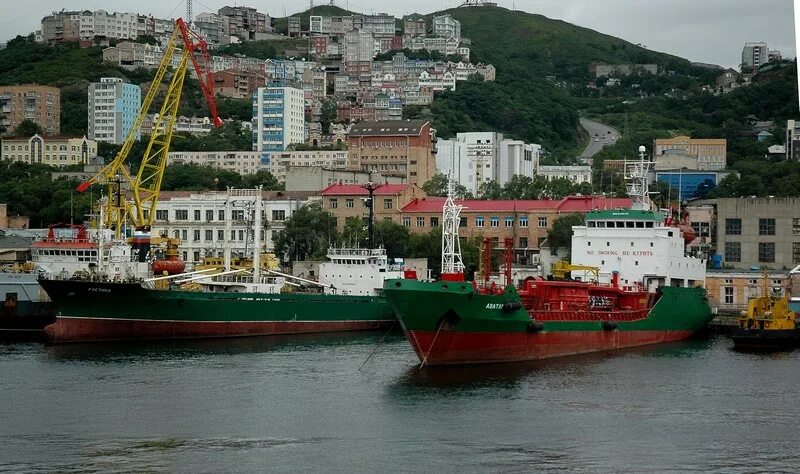 Морской прогноз приморский. Бухта Тихая Владивосток. Смт золотой Рог. Бухта Тихая Владивосток фото. Тихая бухта Владивосток СССР.