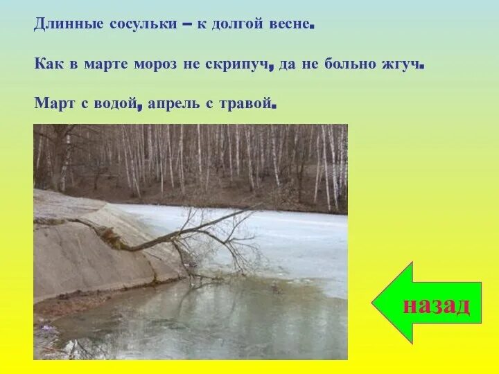 Все очень плохо мем утка. Уточка все очень плохо. Утенок все очень плохо. Уточка все очень плохо. Все очень плохо мем утка.