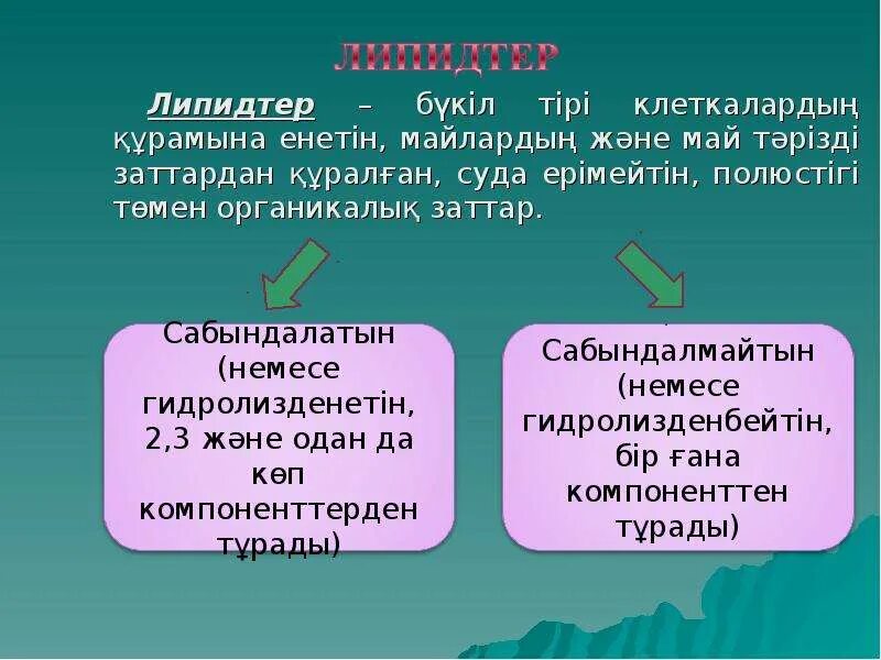 Липидтер. Липидтер презентация. Сабындалмайтын липидтер. Суда еритын заттар.