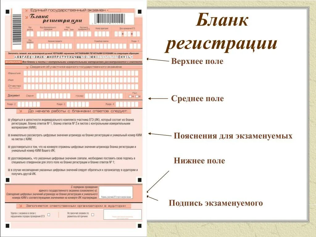 Образцы бланков егэ. Бланк ответов для информатики ЕГЭ. Бланк ЕГЭ 2022 образец. Бланк ответов ЕГЭ заполненный. Бланки заполнения ЕГЭ.