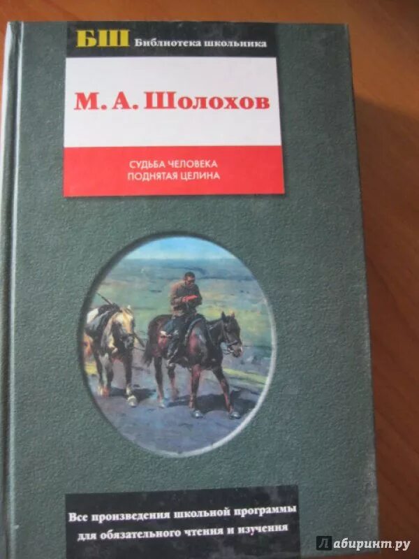 Шолохов судьба человека по главам читать. Судьба человека книга. Поднятая Целина книга. Шолохов судьба человека количество страниц. Страницы книги судьба человека.