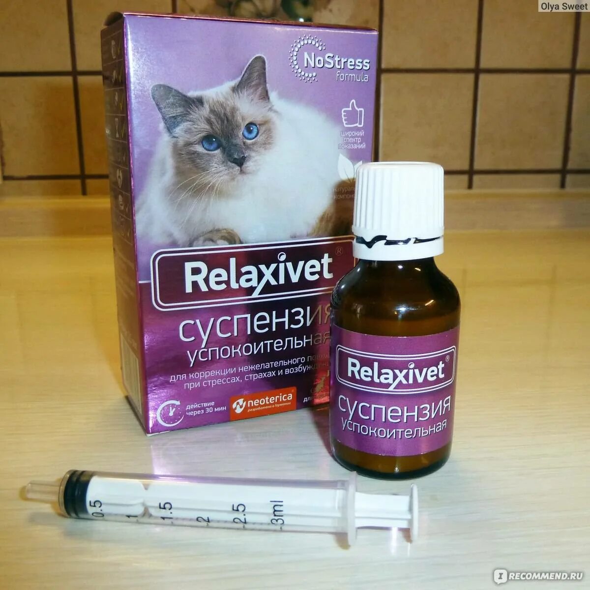 Как давать капли кошке. Успокоительное для кошек. Успокоительные лекарства для котов. Успокоительные капли для кота. Транквилизаторы для кошек.