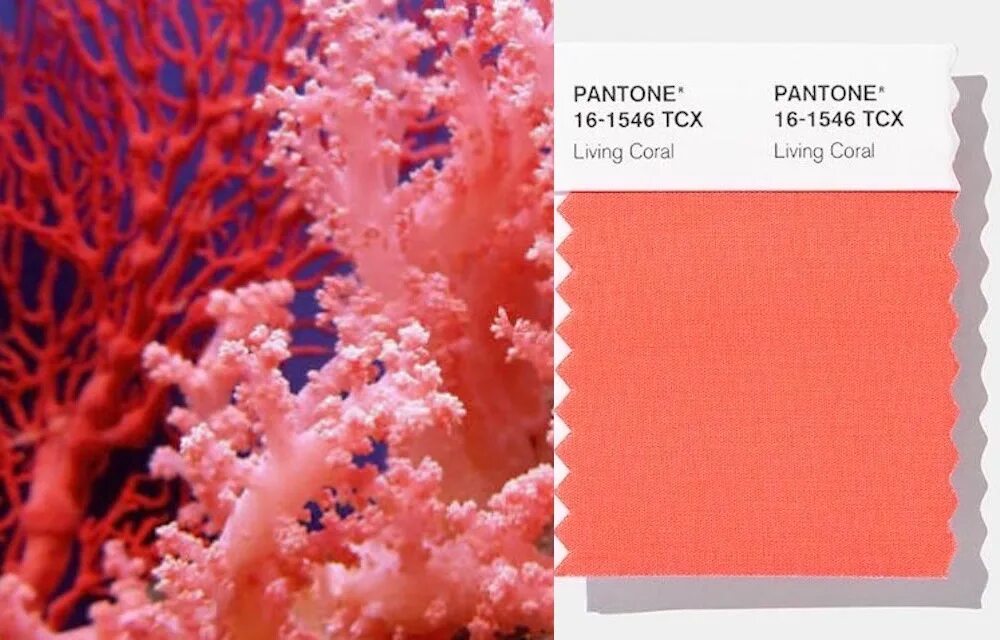Montagem coral музыка. Pantone 16-1546 живой коралл. Пантон цвета живой коралл. Pantone 16-1546 живой коралл / Living Coral (2019). Коралловый цвет.