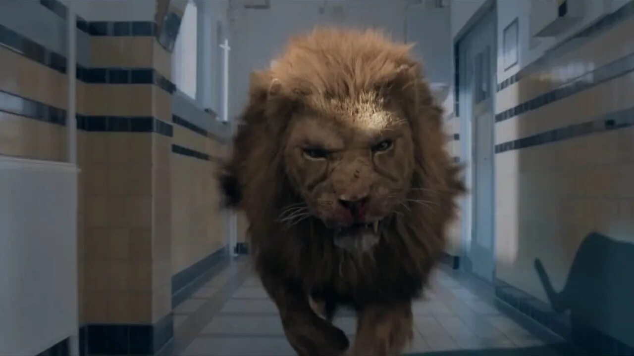 Золото фильм 2016 эдгар рамирес. Джулиан лооман. Добыча 2016. Добыча 2016. Фильм ужасов добыча 2016.