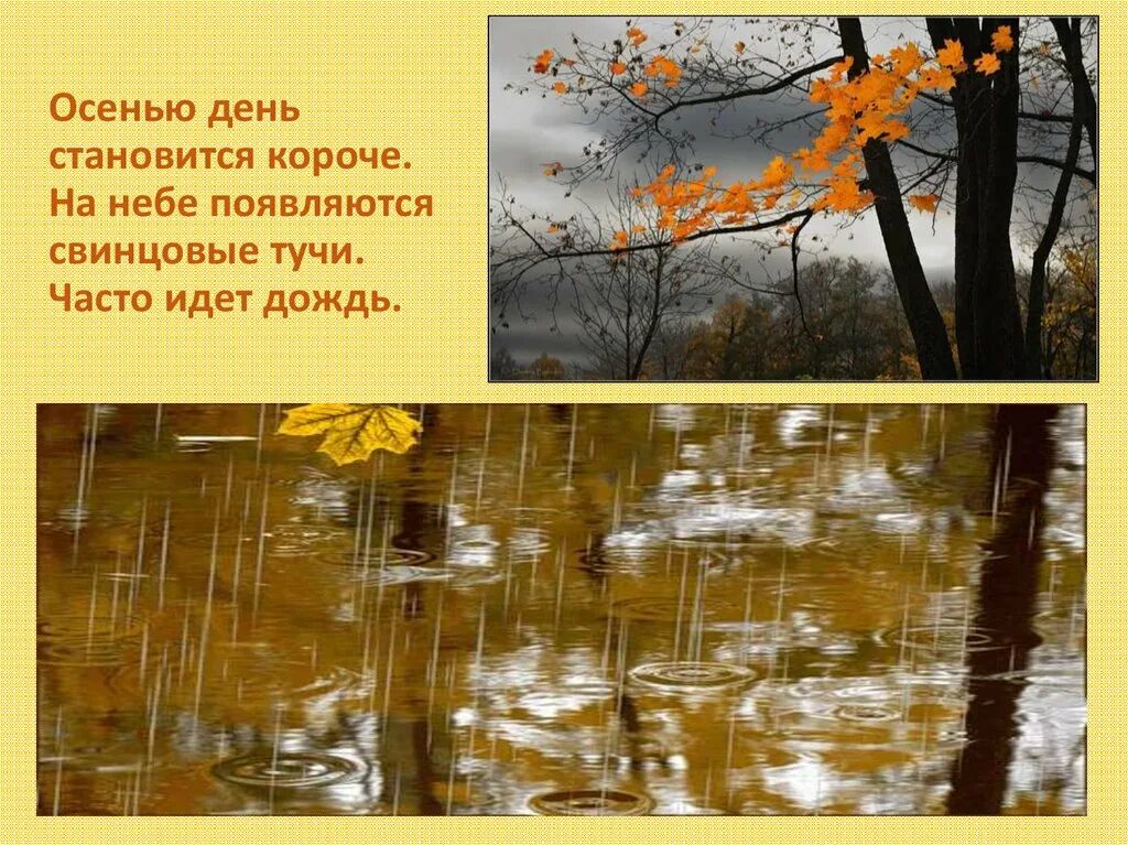 День становится короче осенью. Осенью часто идут дожди. Часто идут дожди. Пасмурный холодный осенний день. Дни становятся длиннее стихи