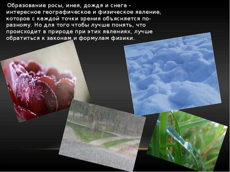Доклад на тему как образуется снег. Роса и иней. роса иней дождь и снег. как образуется роса иней дождь. доклад на тему дождь.