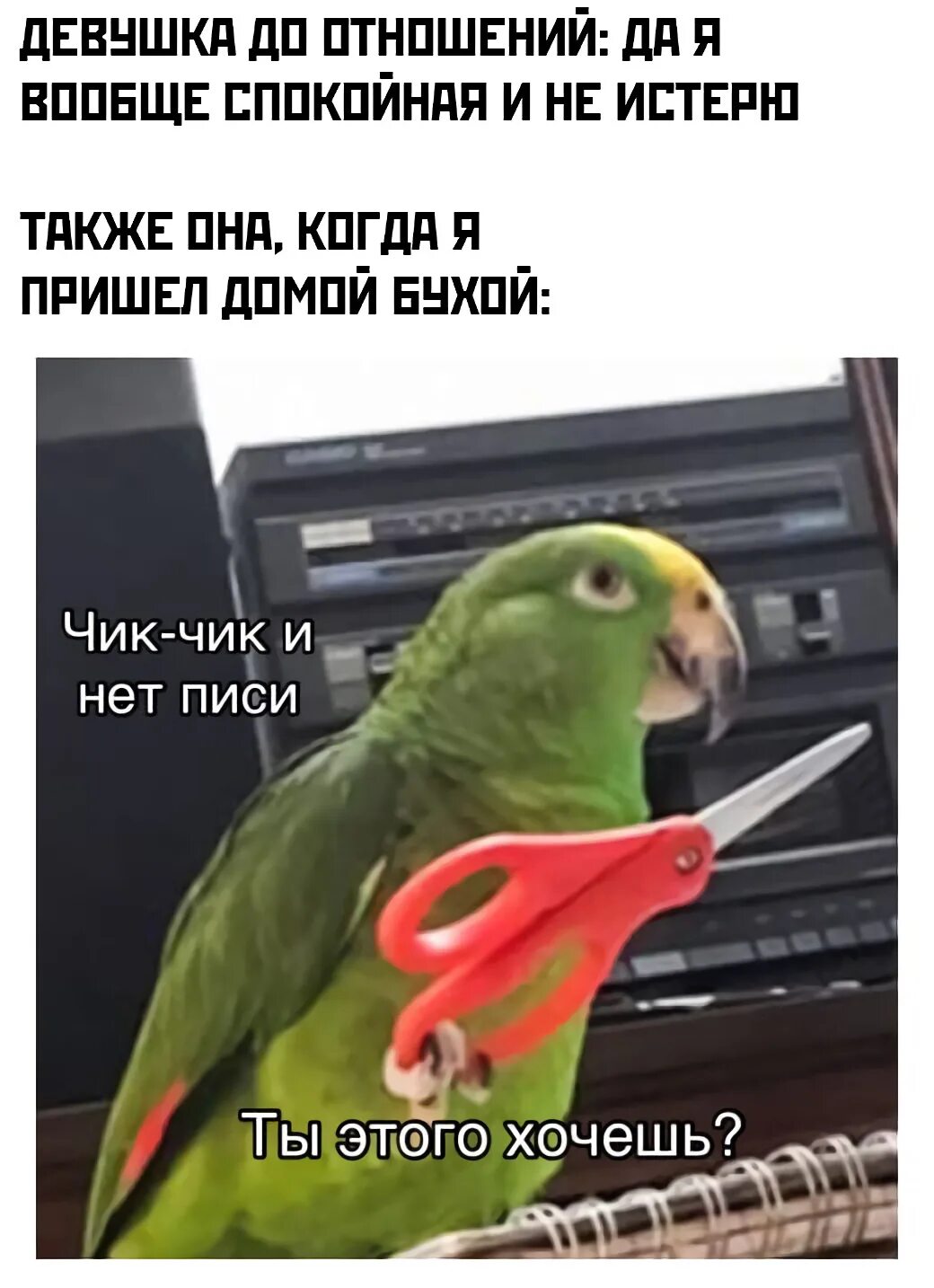 Чик чик жира нет как это секрет. Чик чик мем. чик чик и нет попугай. чик чик чик и нет пиписи. чик чирик и нет пиписи.