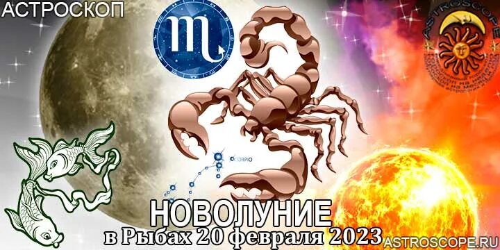 Гороскоп "Скорпион". 20 Февраля гороскоп. Гороскоп на 2023. Гороскоп "рыбы". Новолуние 20