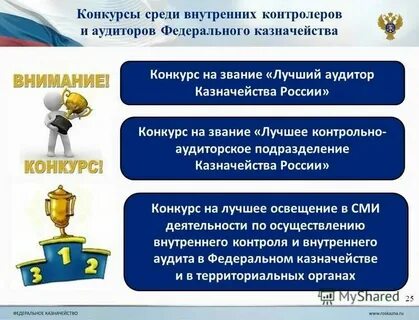Казначейство аудит