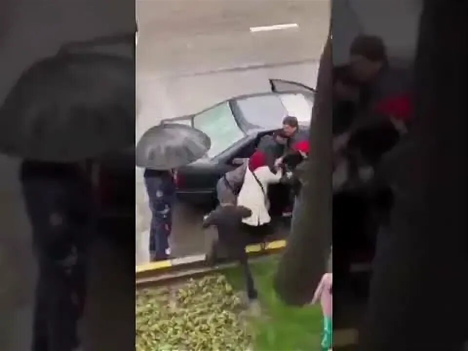 Аблава точикистон. Аблава 2025.