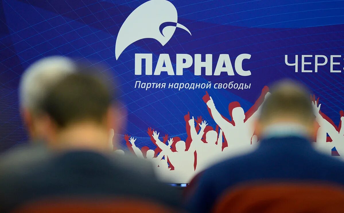 Партия свобода программа партии. Партия народной свободы парнас. партия народной свободы парнас идеология. парнас партия логотип. партия народной свободы лидер.