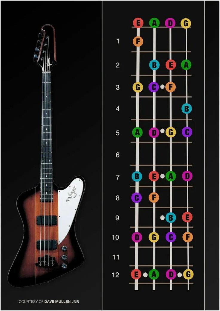 Musical Scales for Mandolin D Pentatonic Ukulele scales, Mandolin, Bass guitar s