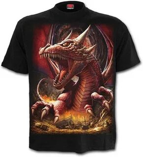 Dragon t