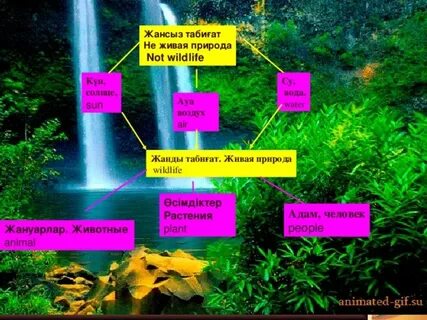 Novon орысша порно онлайн көру